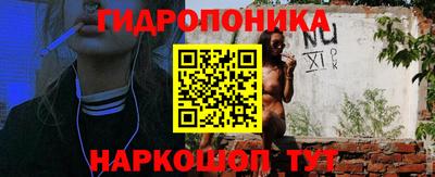 дурь Новодвинск